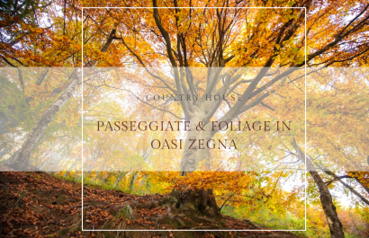 Foliage in Oasi Zegna